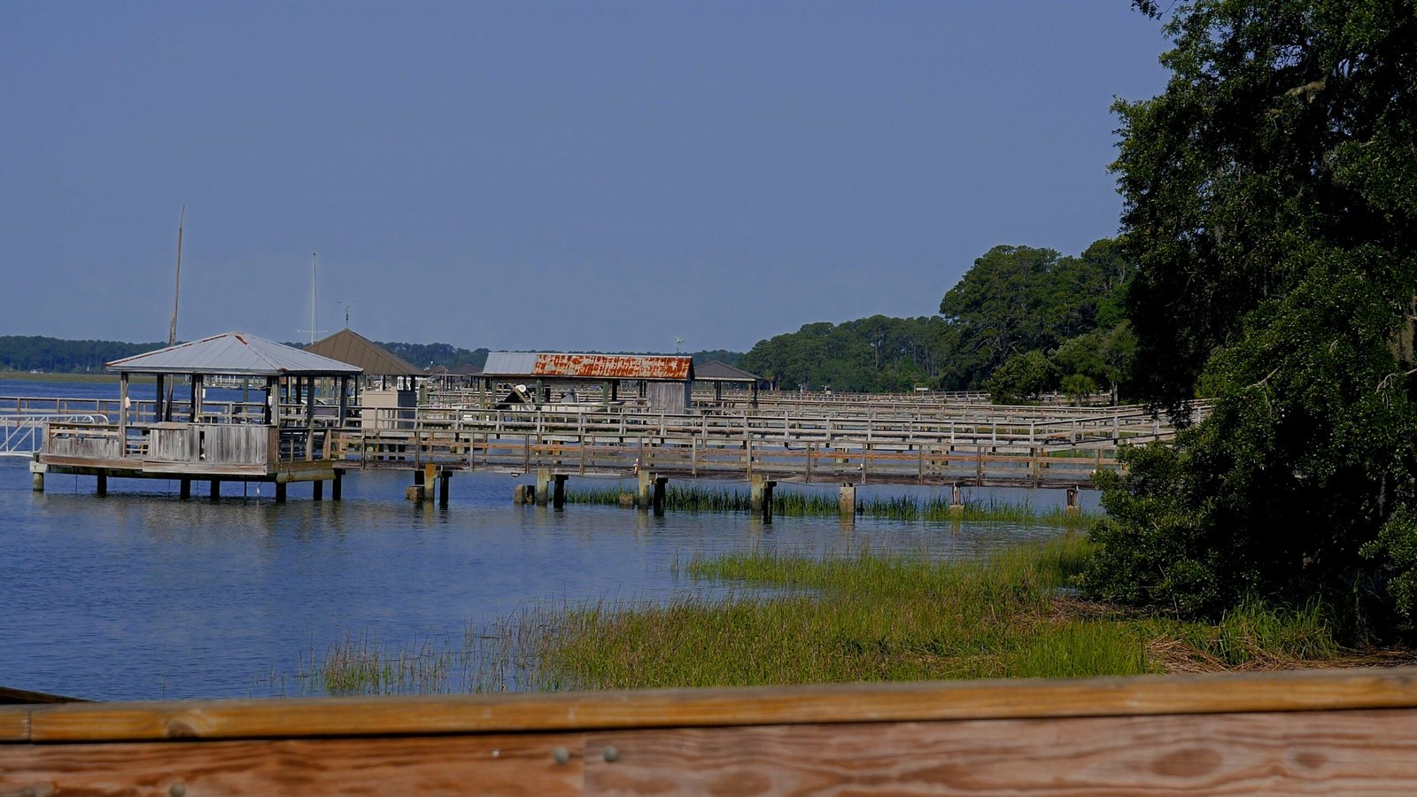 Bluffton South Carolina Video