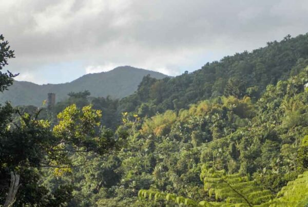 El Conquistador Resort in Puerto Rico