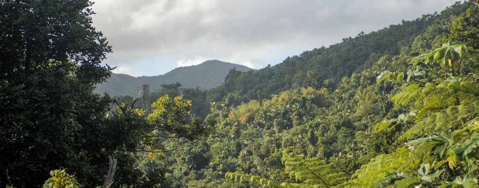 El Conquistador Resort Amenities Video