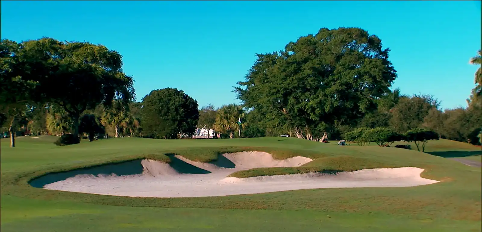 East Course at Jacaranda Video